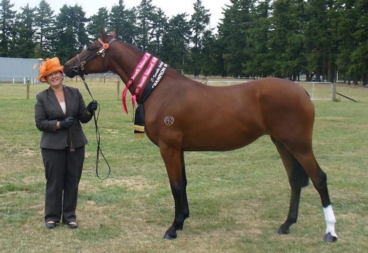 1016292_598852206858786_1001793462_n