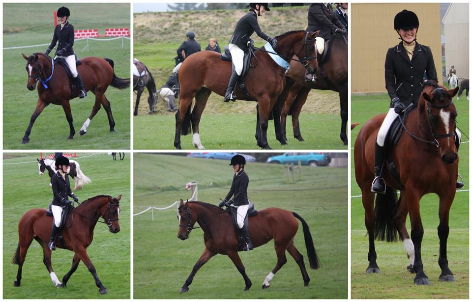 14448993_1345811168763161_1282427537455306331_n