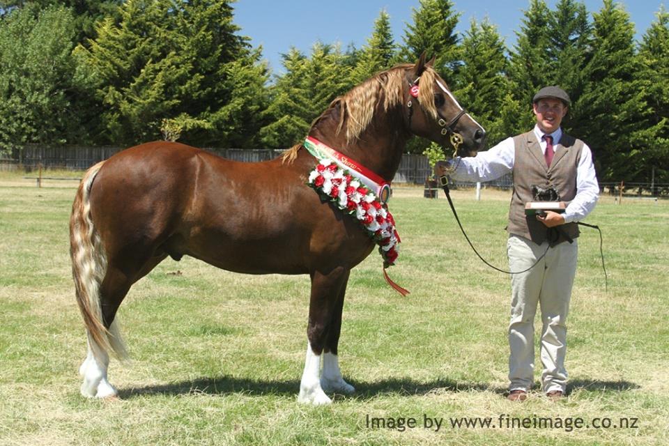 16237922_1428232370528288_628771937_n