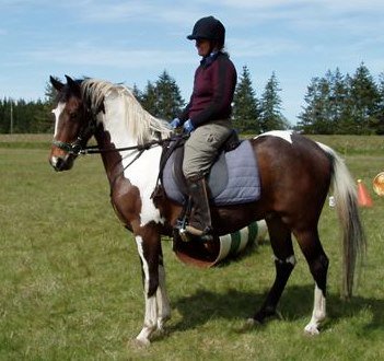 264799_144967652247246_6843532_n