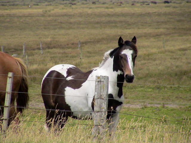 270230_144969908913687_8197630_n